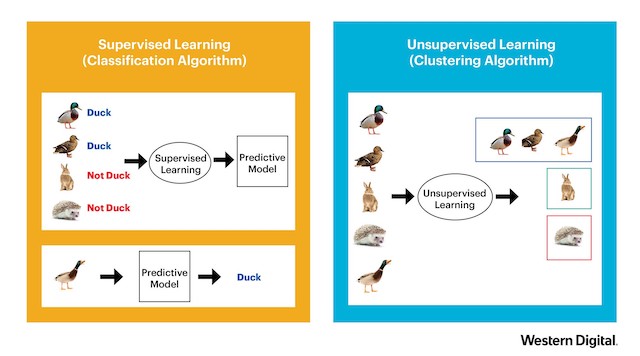 ML vs AI 2