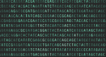 The Future is Written in DNA: Data Storage for the Next Millennia 5